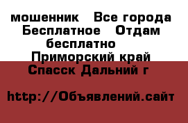 мошенник - Все города Бесплатное » Отдам бесплатно   . Приморский край,Спасск-Дальний г.